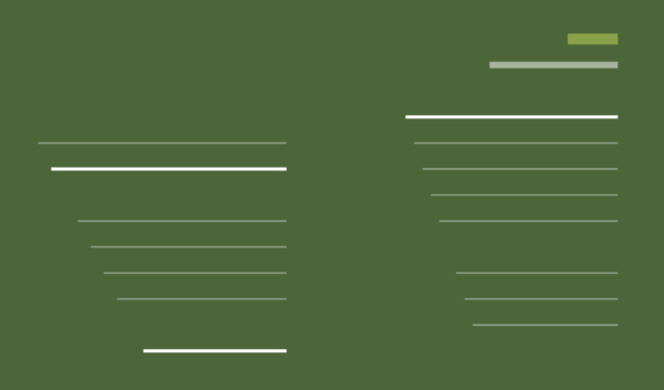 content-audit