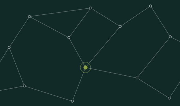 Generative Engine Optimization